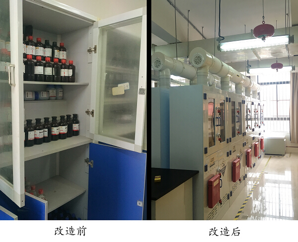 进博会让城市生活更美好(图1)